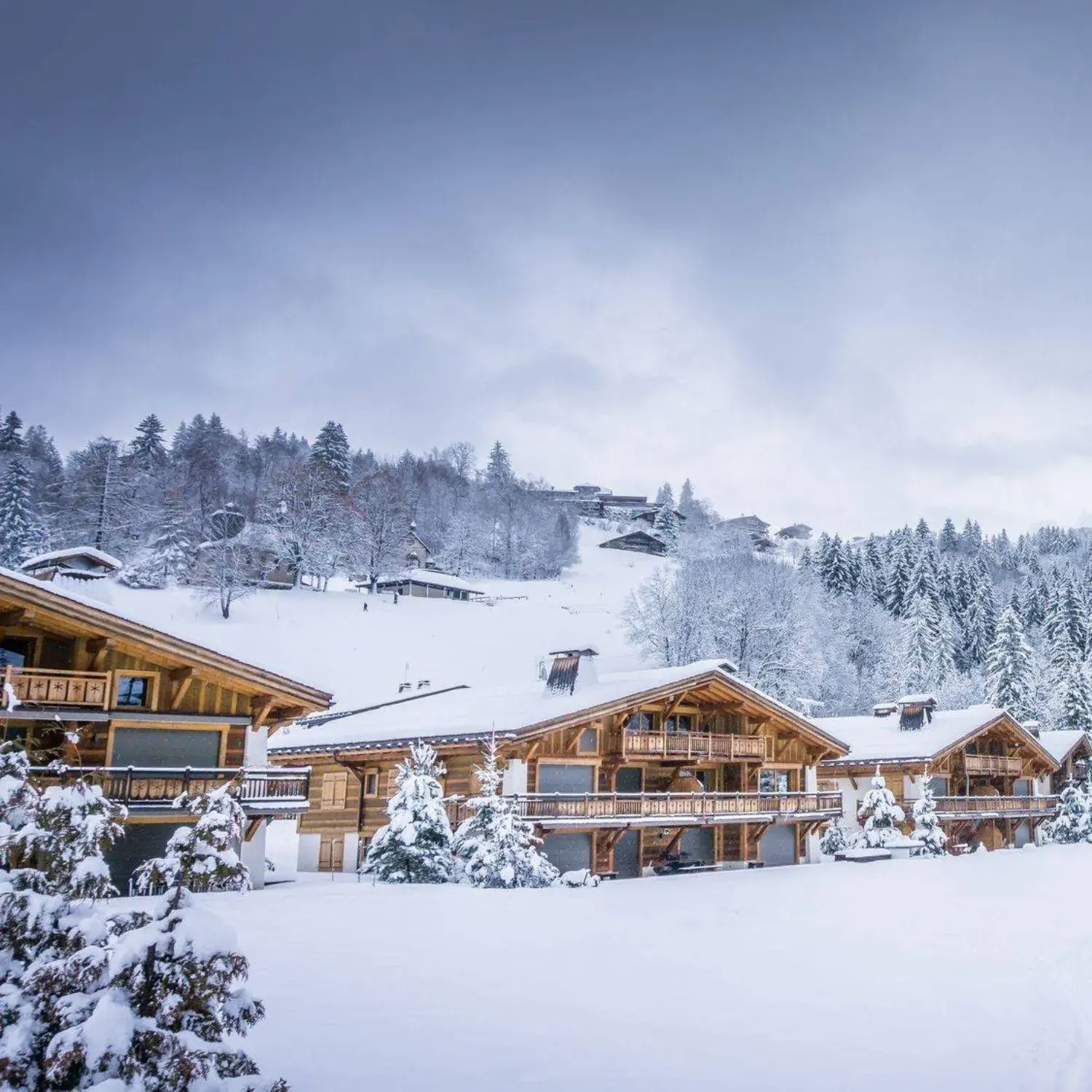 Alpine luxury chalets