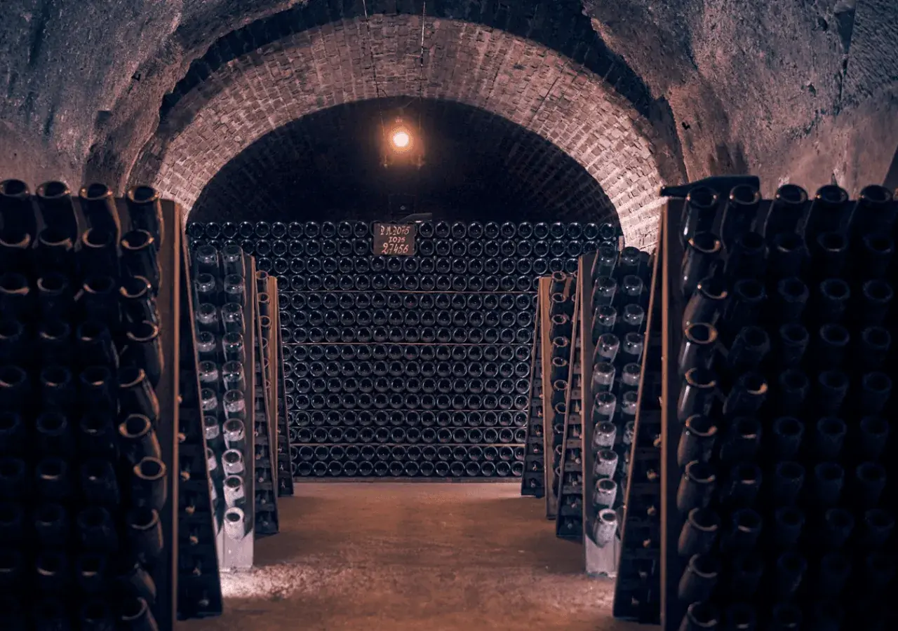Private champagne cellar tour