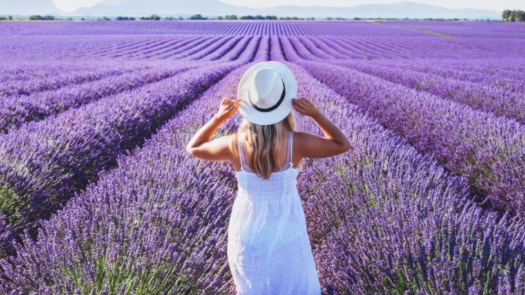 A Picturesque Trip To South Of France For The Lavender Season
