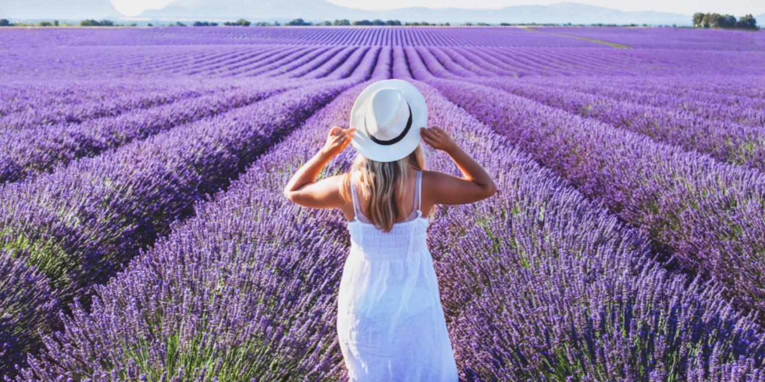 A Picturesque Trip To South Of France For The Lavender Season