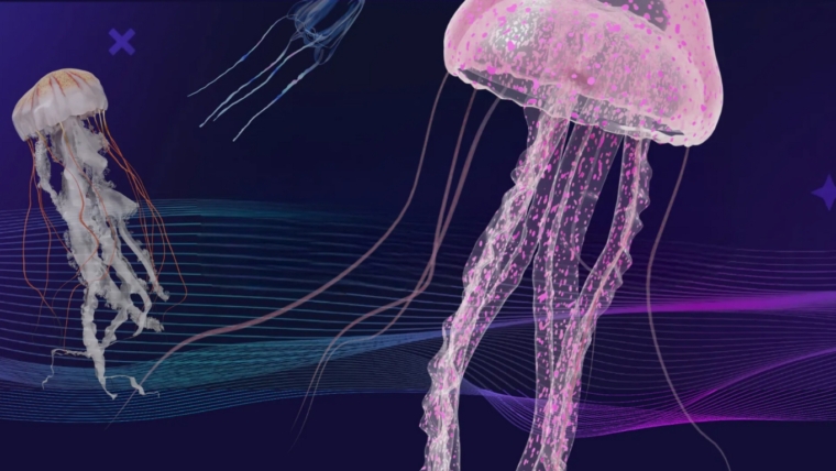 Aquarium de Paris Introduces a Scientifically Accurate Jellyfish NFT Collection