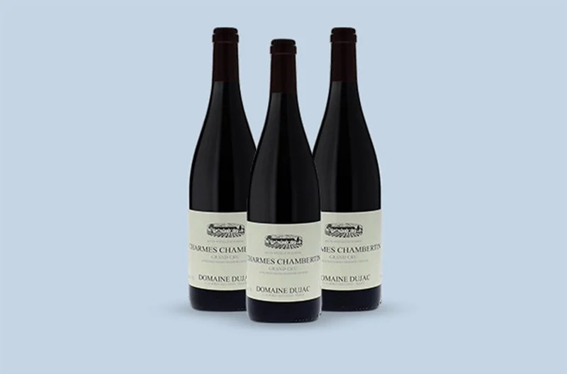 Burgundy Wine Tasting Tours Domaine Dujac Chambertin Grand Cru 2015, Côtes de Nuits
