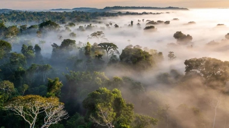 Cristalino Lodge- Brazil
